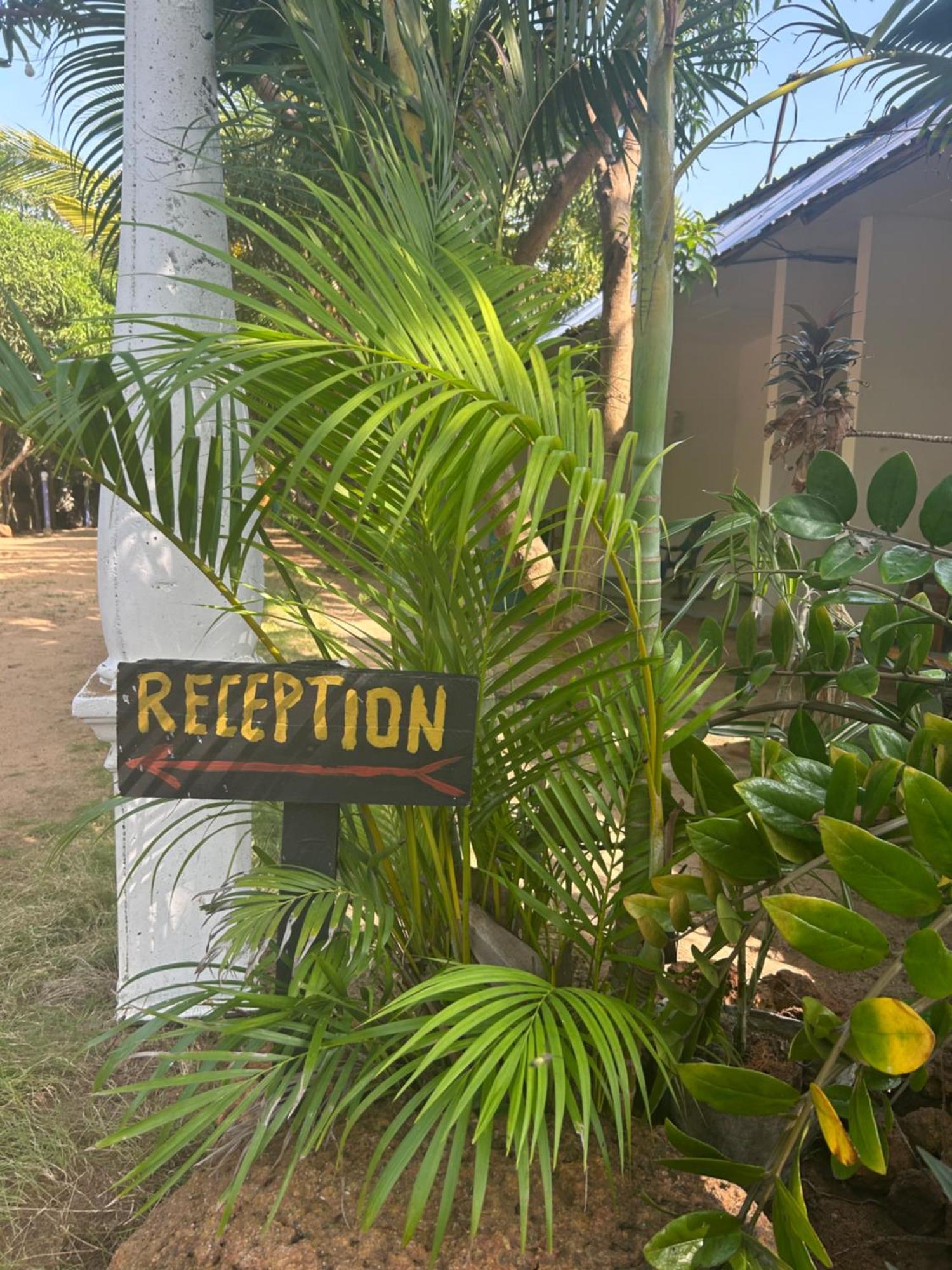Starfish Beach Bungalow Arugam Bay Exterior photo